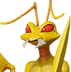 pet